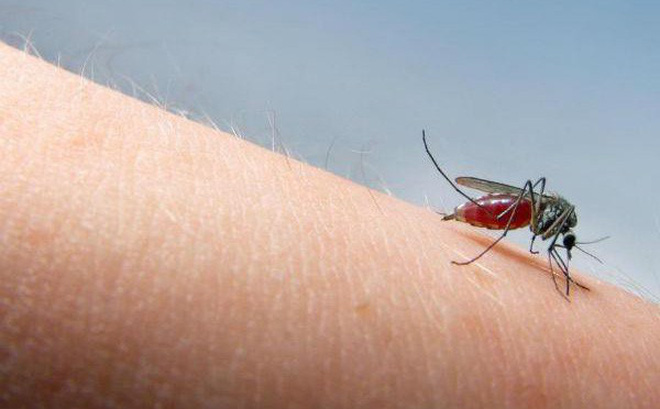 Lựa chọn xịt chống muỗi loại nào tốt, hiệu quả nhanh?